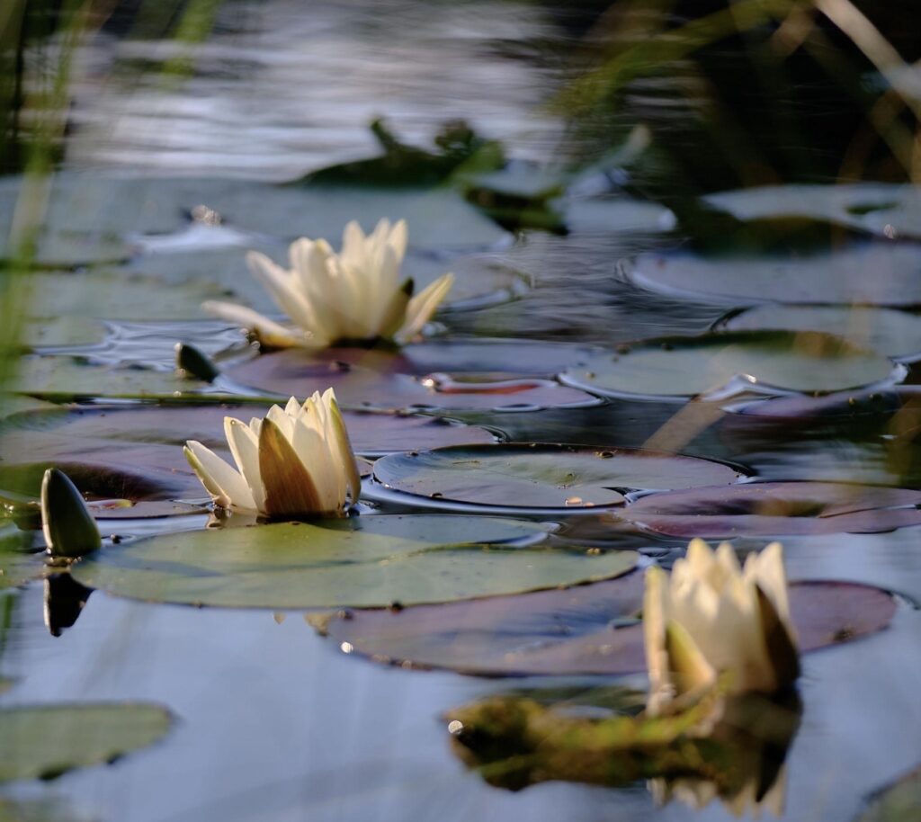 När balansen i en relation sakta förskjuts